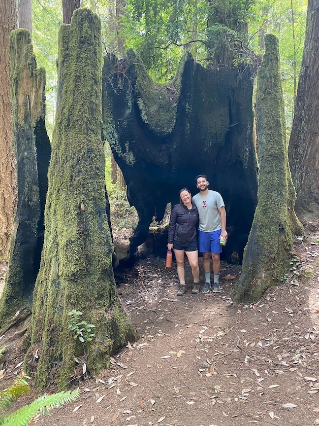 23_08 big_tree