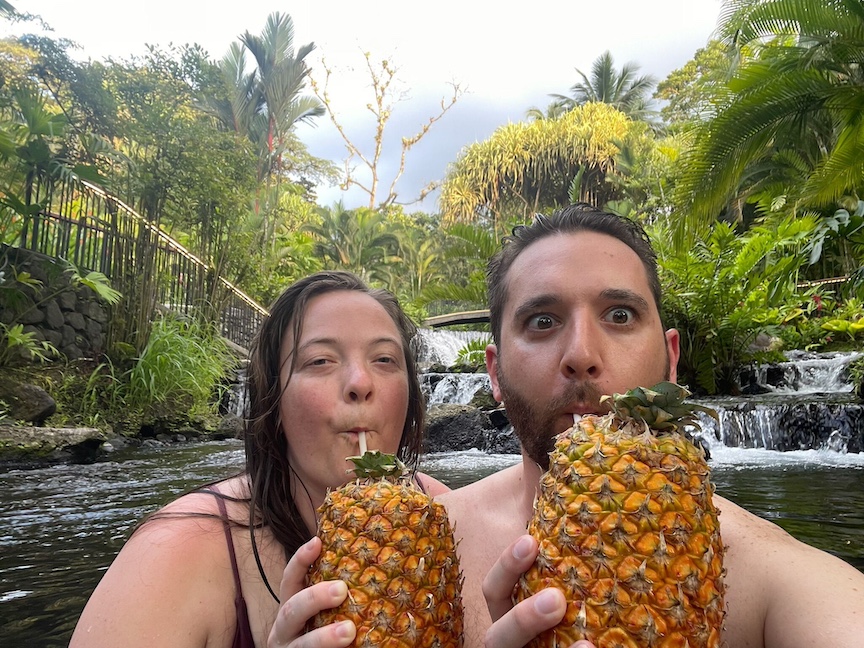 24_03 pineapples